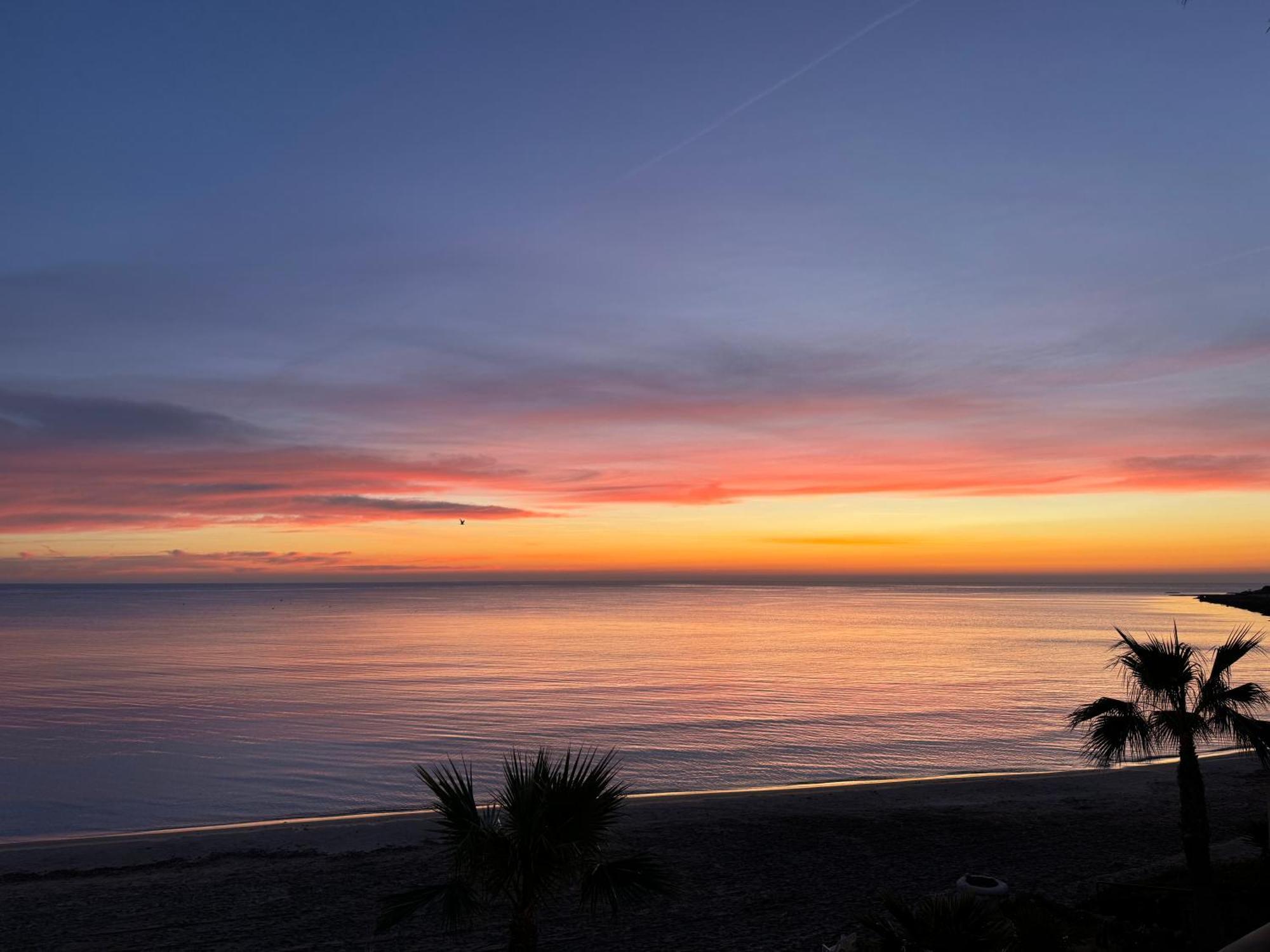 Excepcional Apartamento Loft A Pie De Playa En Chalet Roquetes Alicante Bagian luar foto